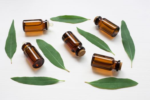 Eucalyptus oil bottle with  leaves on white background.