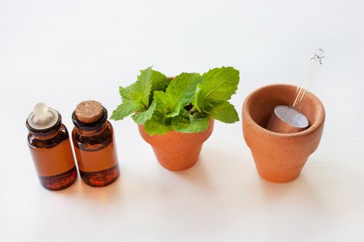 Mint Essential Oil in a Glass Bottle with leaves on white background.