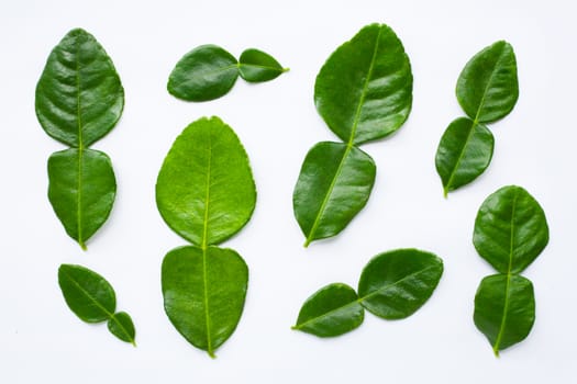 Bergamot kaffir lime leaves herb fresh ingredient isolated.