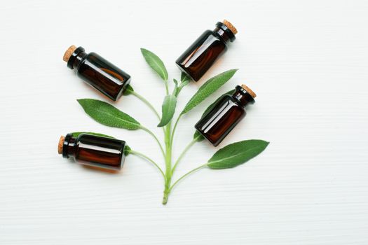 Natural sage essential oil with sage leaves on white  background.