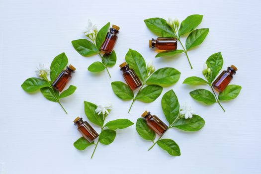 Bottle of essential oil with jasmine flower and leaves on white background.