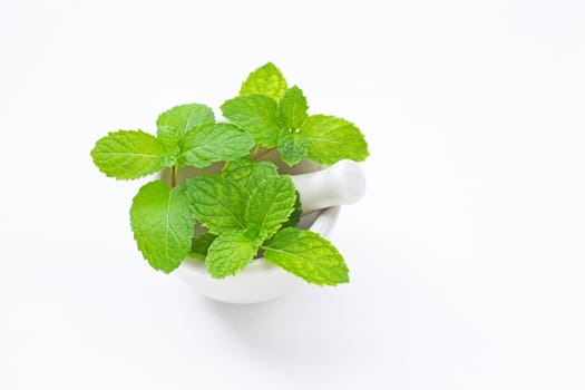 Mint  leaves in porcelain mortar on white background.