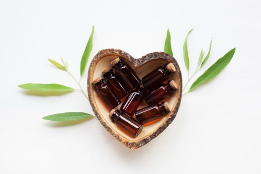 Eucalyptus oil bottle with  leaves on white background.