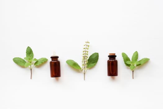 Holy basil essential oil with  fresh leaves.
