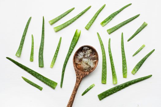 Aloe vera  on white background.