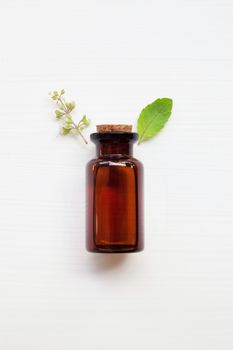 Holy Basil Essential Oil in a Glass Bottle with Fresh Holy Basil leaves and flower on white background.