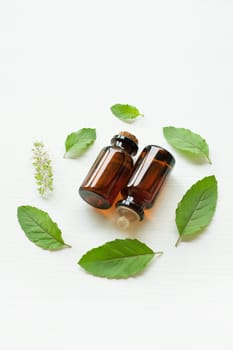 Holy basil essential oil with  fresh leaves.