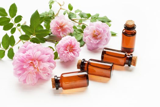 Bottles of essential rose oil for aromatherapy, Huntington Rose.