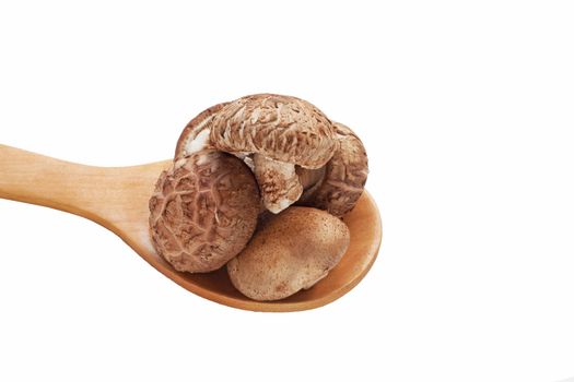 Shiitake mushrooms on wooden spoon  isolated on white background.