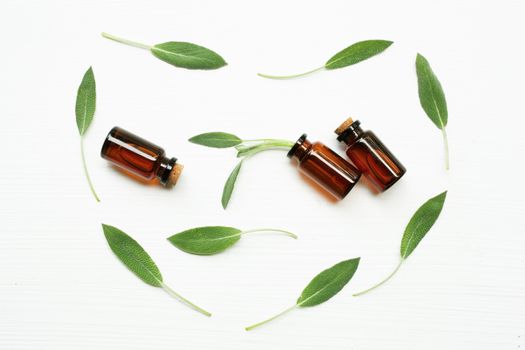 Natural sage essential oil with sage leaves on white  background.