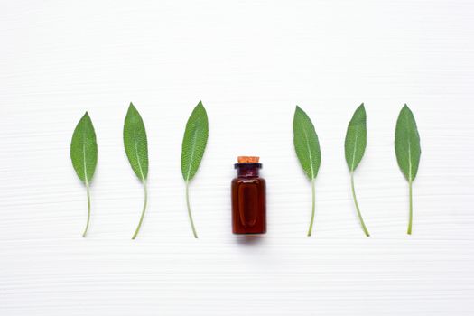 Natural sage essential oil with sage leaves on white background.