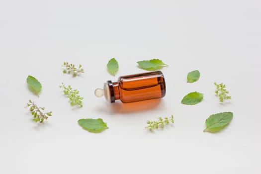 Holy basil essential oil with  fresh leaves.