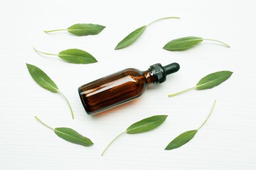 Natural sage essential oil with sage leaves on white  background.