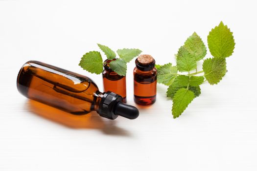 Melissa lemon balm essential oil with fresh leaves.