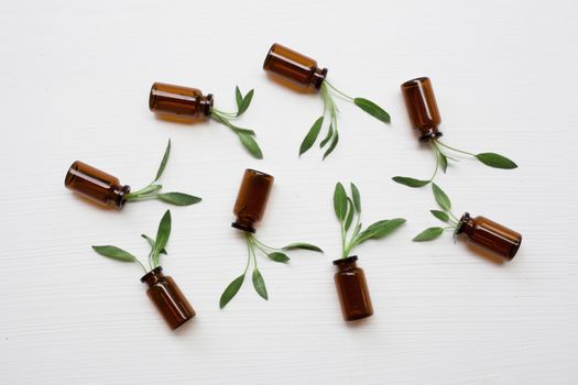 Natural sage essential oil with sage leaves on white  background.