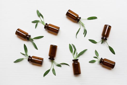Natural sage essential oil with sage leaves on white  background.