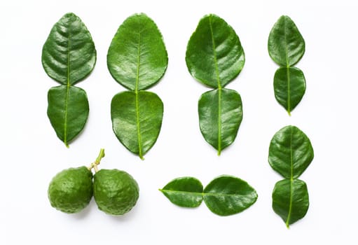 Bergamot kaffir lime leaves herb fresh ingredient isolated on white background.