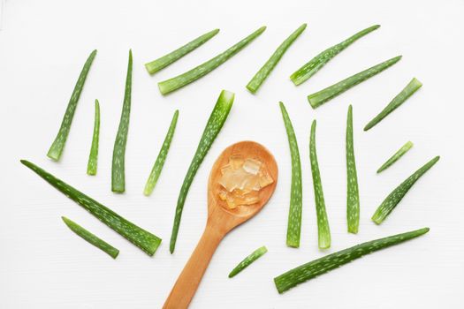 Aloe vera  on white background.