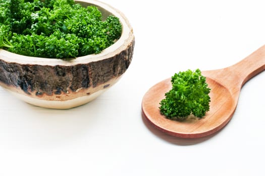 Fresh parsley  on white.