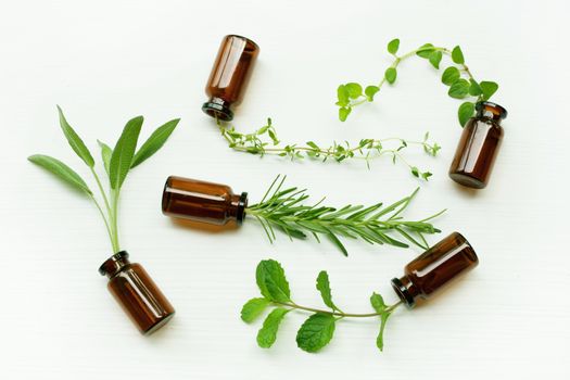 Top view, Bottle of essential oil with herbs  sage, rosemary, oregano, mint and thyme.