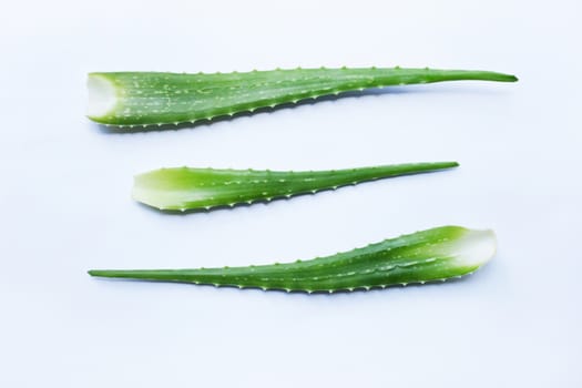 Aloe vera fresh leaves on white background.