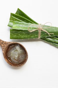 Aloe vera fresh leaves with aloe vera gel on wooden spoon, isolated white background.