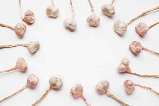 Garlic on white wooden background.