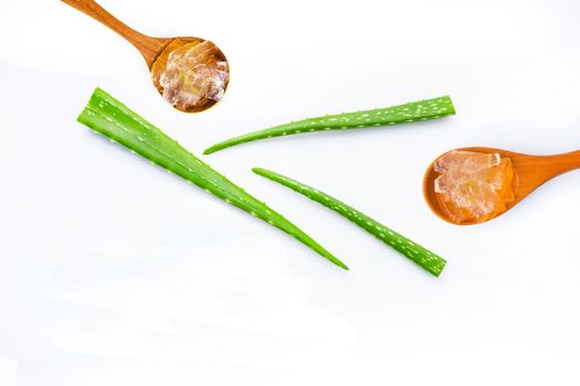 Aloe vera fresh leaves with aloe vera gel on wooden spoon. isolated on white