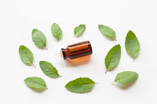 Holy basil essential oil with  fresh leaves.