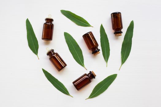 Eucalyptus oil bottle with  leaves on white background.