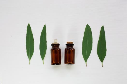 Eucalyptus oil bottle with  leaves on white background.