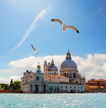 Old cathedral of Santa Maria della Salute in Venice, Italy