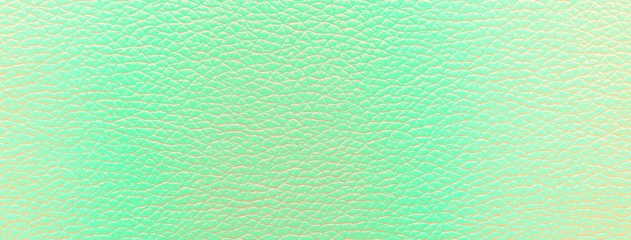 Close-up of a leather green texture used for background