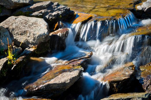 Rapids in Glacier National Park next to the Going to the Sun Road