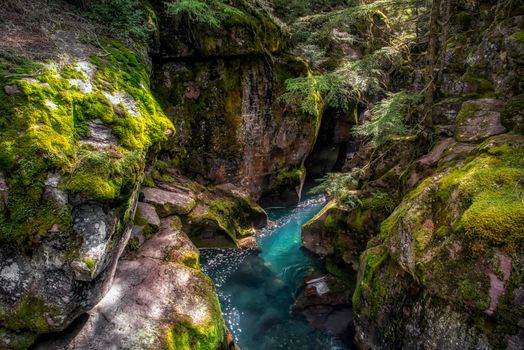 Looking into Avalanche Creek