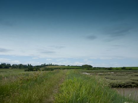 countryside walking path outside through meadow; Essex; UK