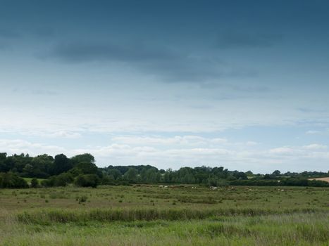 empty country scene with field and trees; Essex; UK