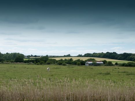 english farm fields in the countryside UK; Essex; UK