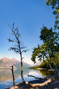 View of Lake McDonald in Montana