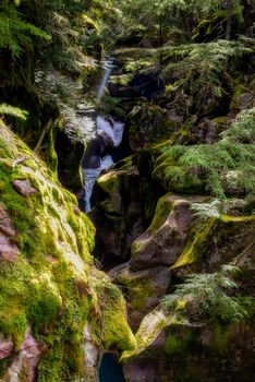 Avalanche Creek