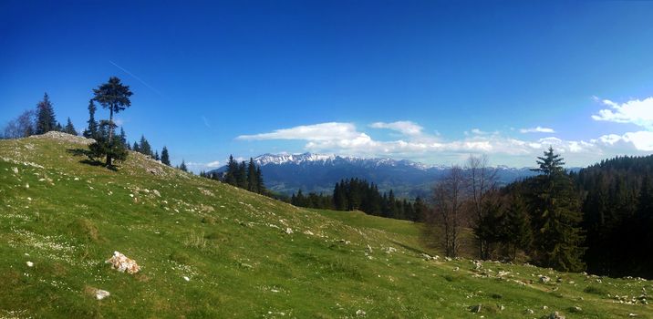 Panoramic view of Mount Bucegi on spring, part of the Carpathian Range from Romania