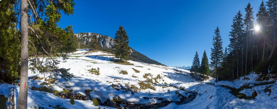 Panoramic view of Mount Piatra Craiului on winter, part of the Carpathian Range from Romania