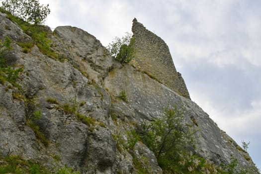 The Pavlov Hills, in Czech also Palava.  White limestone rocks,  flowers in rock. South Moravia, the Czech Republic, Europe.