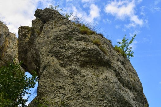 The Pavlov Hills, in Czech also Palava.  White limestone rocks,  flowers in rock. South Moravia, the Czech Republic, Europe.