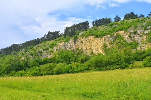 The Pavlov Hills, in Czech also Palava.  White limestone rocks,  flowers in rock. South Moravia, the Czech Republic, Europe.