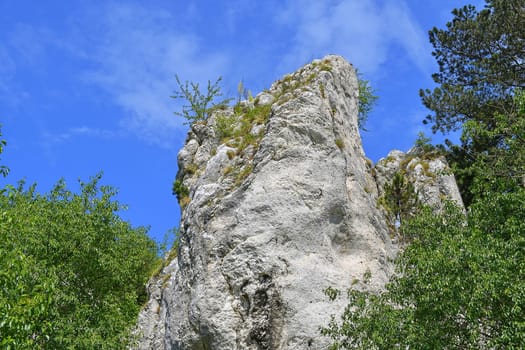 The Pavlov Hills, in Czech also Palava.  White limestone rocks,  flowers in rock. South Moravia, the Czech Republic, Europe.