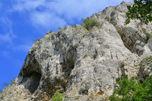 The Pavlov Hills, in Czech also Palava.  White limestone rocks,  flowers in rock. South Moravia, the Czech Republic, Europe.