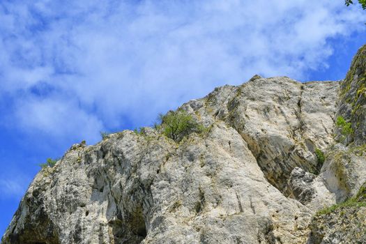 The Pavlov Hills, in Czech also Palava.  White limestone rocks,  flowers in rock. South Moravia, the Czech Republic, Europe.