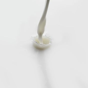 Pouring milk splash on white background macro