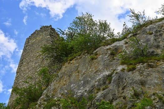 The Pavlov Hills, in Czech also Palava.  White limestone rocks,  flowers in rock. South Moravia, the Czech Republic, Europe.